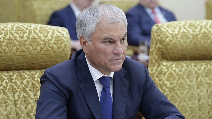 Володин пригласил парламентариев БРИКС следить за выборами в Госдуму